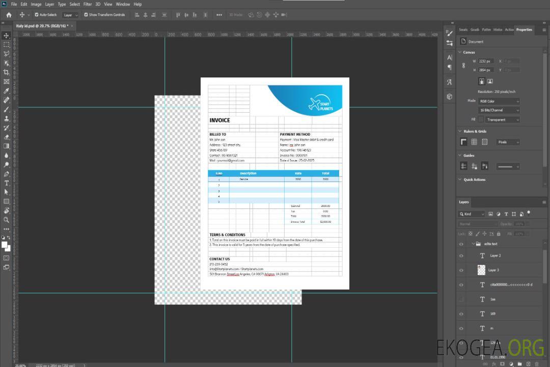Modèle de facture de services d'aviation de compagnies aériennes template
